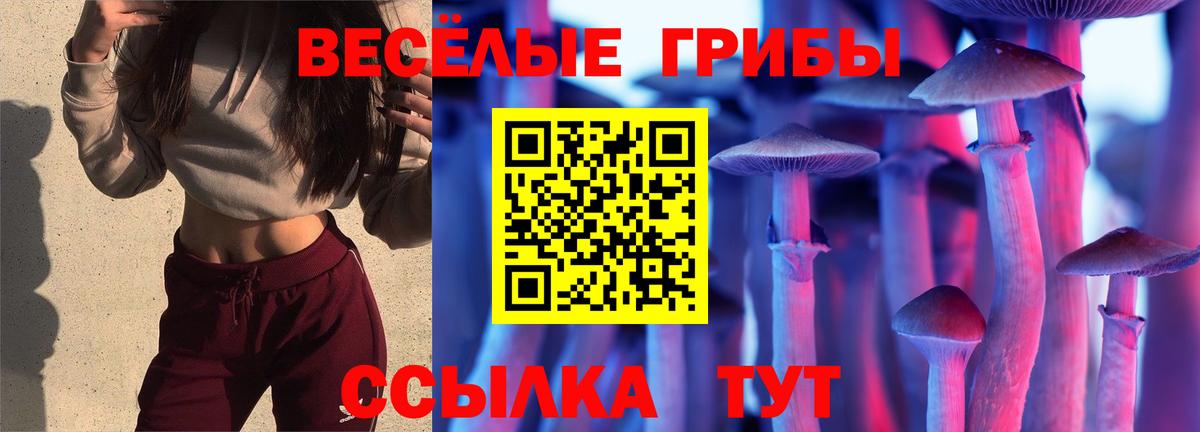 цена   Вход с VPN  Нововоронеж  Псилоцибиновые грибы MAGIC MUSHROOMS 